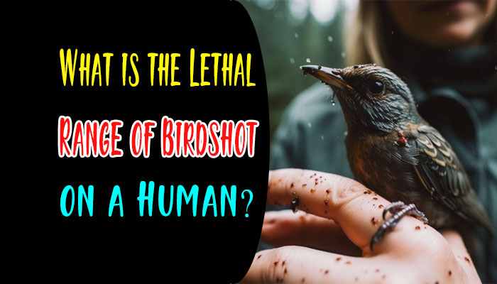 What is the Lethal Range of Birdshot on a Human?