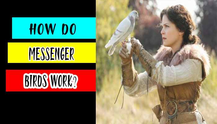 how do messenger birds work?